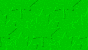 bgrnd_leaf_green.gif (3385 bytes)