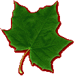 green.gif (4982 bytes)