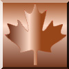 maple4.jpg (7642 bytes)