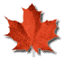 red_maple_leaf.gif (2611 bytes)